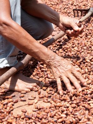 Com o projeto Na’kau – Em busca da sustentabilidade através de relações éticas, conservação da floresta e a valorização de produtos e pessoas amazônicas”, fomentado pelo Programa Inova Amazônia – Módulo Tração, edital Nº 001/2023, com o apoio do Governo do Amazonas, por meio da Fundação de Amparo à Pesquisa do Estado do Amazonas (Fapeam), e em parceria com o Serviço Brasileiro de Apoio às Micro e Pequenas Empresas (Sebrae), o empreendimento tem como propósito colocar em prática ações de impacto socioambiental que sejam positivas para o desenvolvimento sustentável da Amazônia.