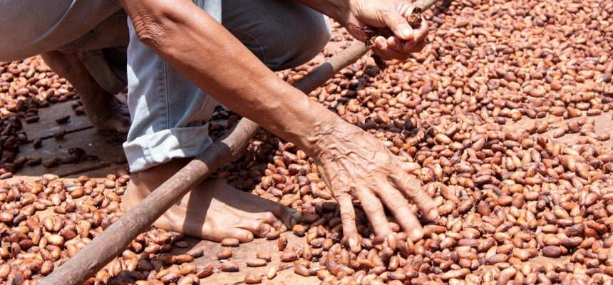 Com o projeto Na’kau – Em busca da sustentabilidade através de relações éticas, conservação da floresta e a valorização de produtos e pessoas amazônicas”, fomentado pelo Programa Inova Amazônia – Módulo Tração, edital Nº 001/2023, com o apoio do Governo do Amazonas, por meio da Fundação de Amparo à Pesquisa do Estado do Amazonas (Fapeam), e em parceria com o Serviço Brasileiro de Apoio às Micro e Pequenas Empresas (Sebrae), o empreendimento tem como propósito colocar em prática ações de impacto socioambiental que sejam positivas para o desenvolvimento sustentável da Amazônia.