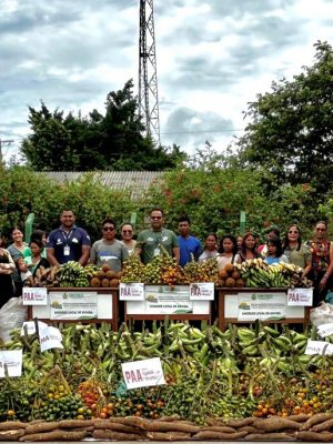 Sete toneladas de alimentos produzidos por agricultores familiares indígenas das etnias Kulina, Apurinã e Miranha de Manaquiri e Envira (respectivamente, a 60 e 1.208 quilômetros de Manaus) foram escoadas pelo Instituto de Desenvolvimento Agropecuário e Florestal Sustentável do Estado do Amazonas (Idam). Adquiridos por meio do Programa de Aquisição de Alimentos (PAA) Indígena, os itens tiveram como destino escolas e instituições de assistência a indígenas dos municípios.