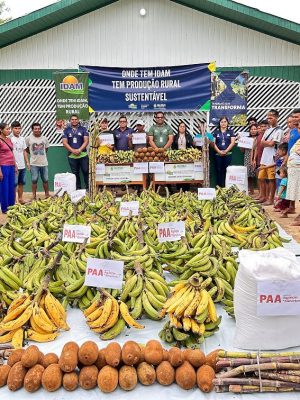 Nesta sexta-feira (07/03), quatro toneladas de alimentos produzidas por 16 agricultores familiares indígenas de Envira (a 1.208 quilômetros de Manaus) tiveram como destino a Casa de Apoio à Saúde Indígena (Casai) do município. A logística para a entrega dos itens, que foram adquiridos por meio do Programa de Aquisição de Alimentos (PAA) Indígena, foi efetuada pelo Instituto de Desenvolvimento Agropecuário e Florestal Sustentável do Estado do Amazonas (Idam). A entrega de alimentos à Casai incluiu pupunha, banana pacovã, mamão, melancia, açaí, buriti, cana-de-açúcar, galinha caipira, pirarucu, farinha de mandioca, limão e macaxeira, que correspondem às produções de agricultores familiares da etnia Kulina. “O PAA indígena é uma política pública que beneficia os agricultores familiares indígenas, incentiva a atividade agrícola e que coloca alimento na mesa de pessoas em situação de insegurança alimentar”, disse o gerente da Unidade Local (UnLoc) Idam/Envira, Cerlandio Lemos, ao acrescentar que R$ 109,9 mil devem ser injetados na economia local por conta da comercialização dos itens. FOTOS: Divulgação/Idam O gerente informou, ainda, que a atuação do Idam tem sido fundamental para que os trabalhadores rurais tenham acesso ao PAA Indígena, uma vez que o instituto é o responsável pelo cadastro dos agricultores familiares indígenas no programa. “Além disso, a UnLoc presta toda a assistência ao público beneficiado, seja com orientações, na produção, regularização e, ainda, na logística dos alimentos cultivados”, destacou. Os alimentos, recolhidos e pesados pela equipe técnica da UnLoc Idan/Envira, serão distribuídos pela Casai a famílias indígenas das aldeias Cacau, Buriti e Capoeira, bem como a famílias da sede do município.